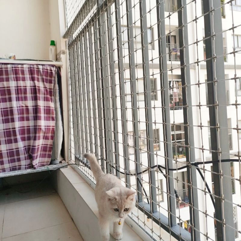 lưới an toàn chống mèo